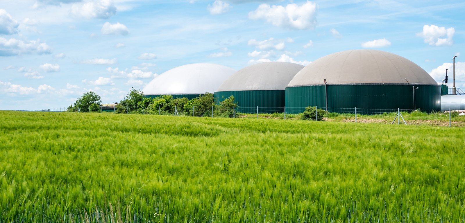 Biogas facility agricultural field