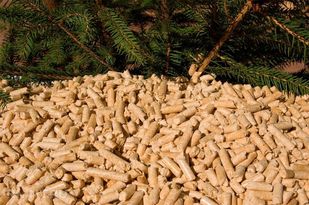 Person holding wood pellets